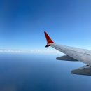 도쿄라멘 3900 | 의도치 않은 도쿄 3박4일 (1)