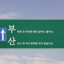 아임빈 - 진도군 남동1길 22 | 아임빈