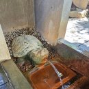 부석사아래단풍길펜션 이미지