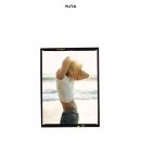 도토리 코리아