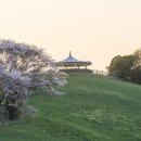 아름드리 목장 이미지