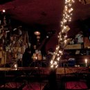 까페나무 이미지