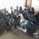 운교농장 이미지