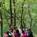 935 도 춘천시 | [홍천] 석가탄신일 나들이로 아름다운 수타사와 공작산 생태숲