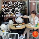 몬 펫 이미지