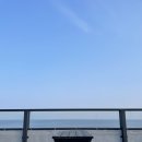 보사노바로스팅팩토리