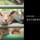 브랜드네트웍스 이미지