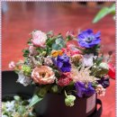 비밀정원 이미지