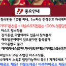 원더버디