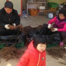 알뜰 농장 이미지