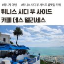 외로운 마을 언제부 | 튀니지 여행, 시디 부 사이드 카페 데스 델리세스, Café des Délices