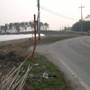 대촌동초등학교 이미지