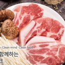 우리 팜 네이버블로그