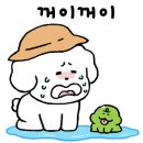 루파니애견캠핑장 이미지