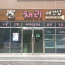 채리애견샵 이미지