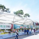 곡성곶감 영농조합법인 이미지