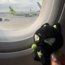 양산 정수중학교 | 불구하고 떠나야 할 때가 있다.. 앤팀 고베콘 후기 2025 &amp;TEAM AWAKEN THE BLOOD LINE 아시아 투어 고베...