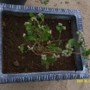 도천농장 이미지