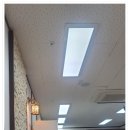 촘촘 스칼프 이미지