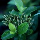 바른손한의원 이미지