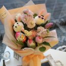 피오리레 이미지