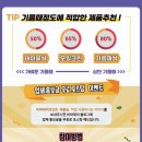 무진카센타 이미지