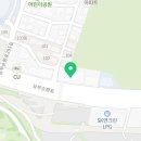 피디첸