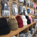 알파인 팬션 이미지