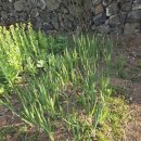 소도락하우스 이미지