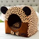 오로라애견 이미지