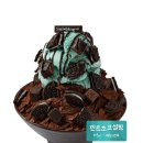민트초코충주