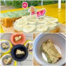 알로하도그 이미지