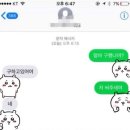 푸치베베 | /월