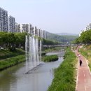 안산천1 이미지