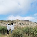 은빛축산 이미지