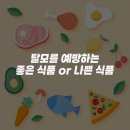 에프앤디식품 이미지