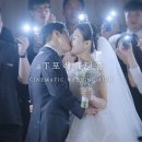 팔레트포레 이미지