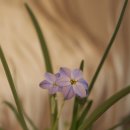 연빈화실 이미지