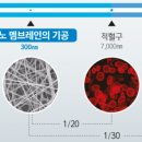 주식회사레몬