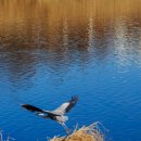 구리둘레길(3코스) | 경기도 걷기좋은길 구리둘레길3코스 자연생태가 살아있는곳