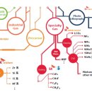 반도특수가스 이미지
