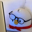더델리 이미지