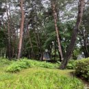 스카이스위트 이미지