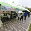 나사렛대 이미지