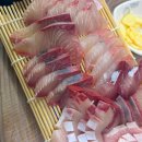 구조라별장 | 제주 펜션 추천, 제주 감성 가득한 숙소, 프라이빗 독채 별장, 비마이아일