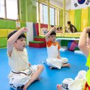 한국체대 비호태권도 이미지