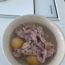 영참치
