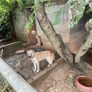 천연농장 이미지