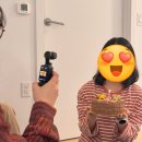 화,목 굿모닝 요가 | [우당탕탕 밴쿠버+116] 3월 셋째 주 일상 - 대혼돈의 생일 주간