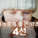 축농증 치료에 좋은 약초 4가지 이미지